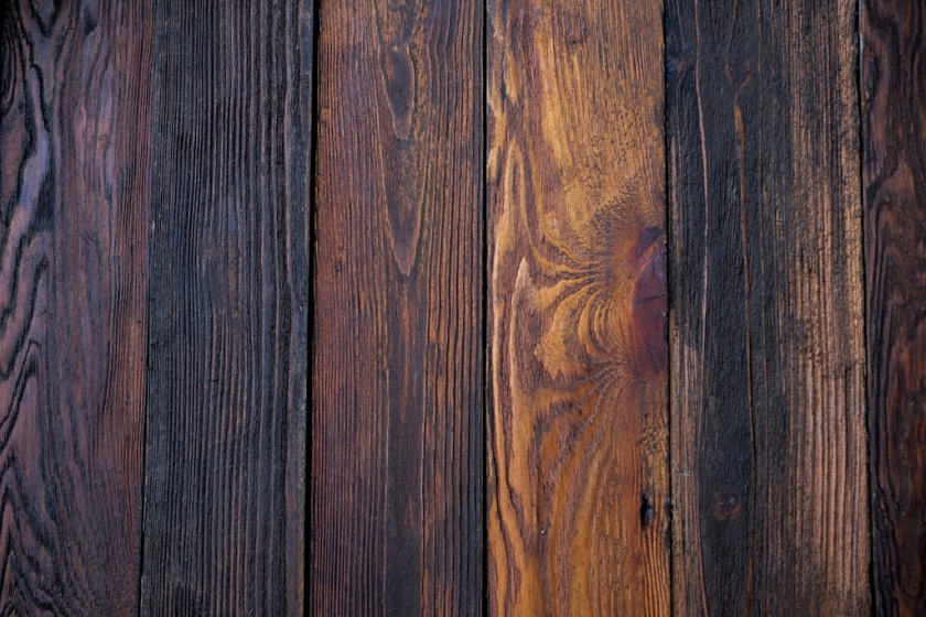 Szkodniki drewna niszczą Twoje meble? Poznaj najefektywniejsze metody ich zwalczania